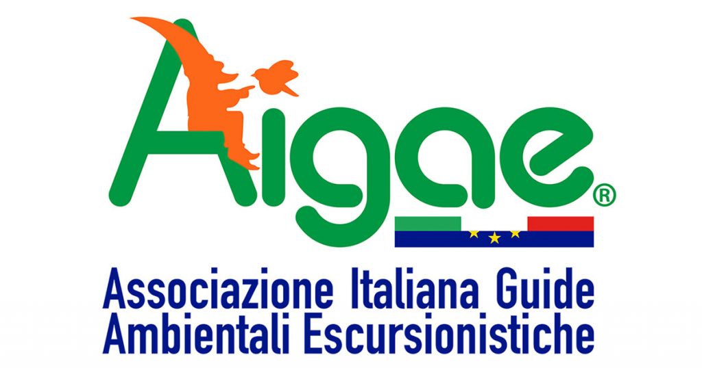 AIGAE : Brand Short Description Type Here.