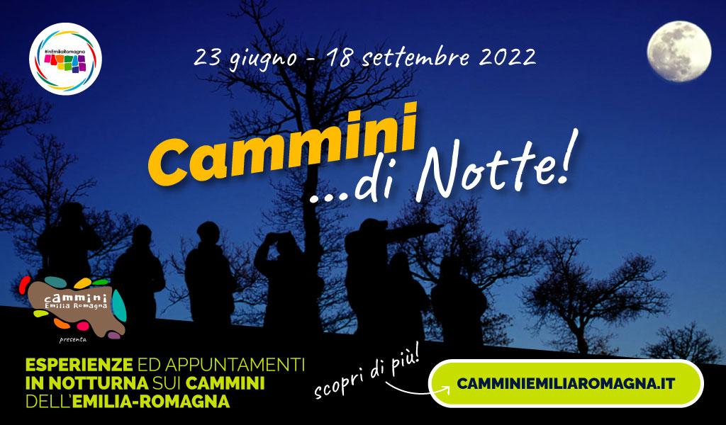 Cammini di notte 2022