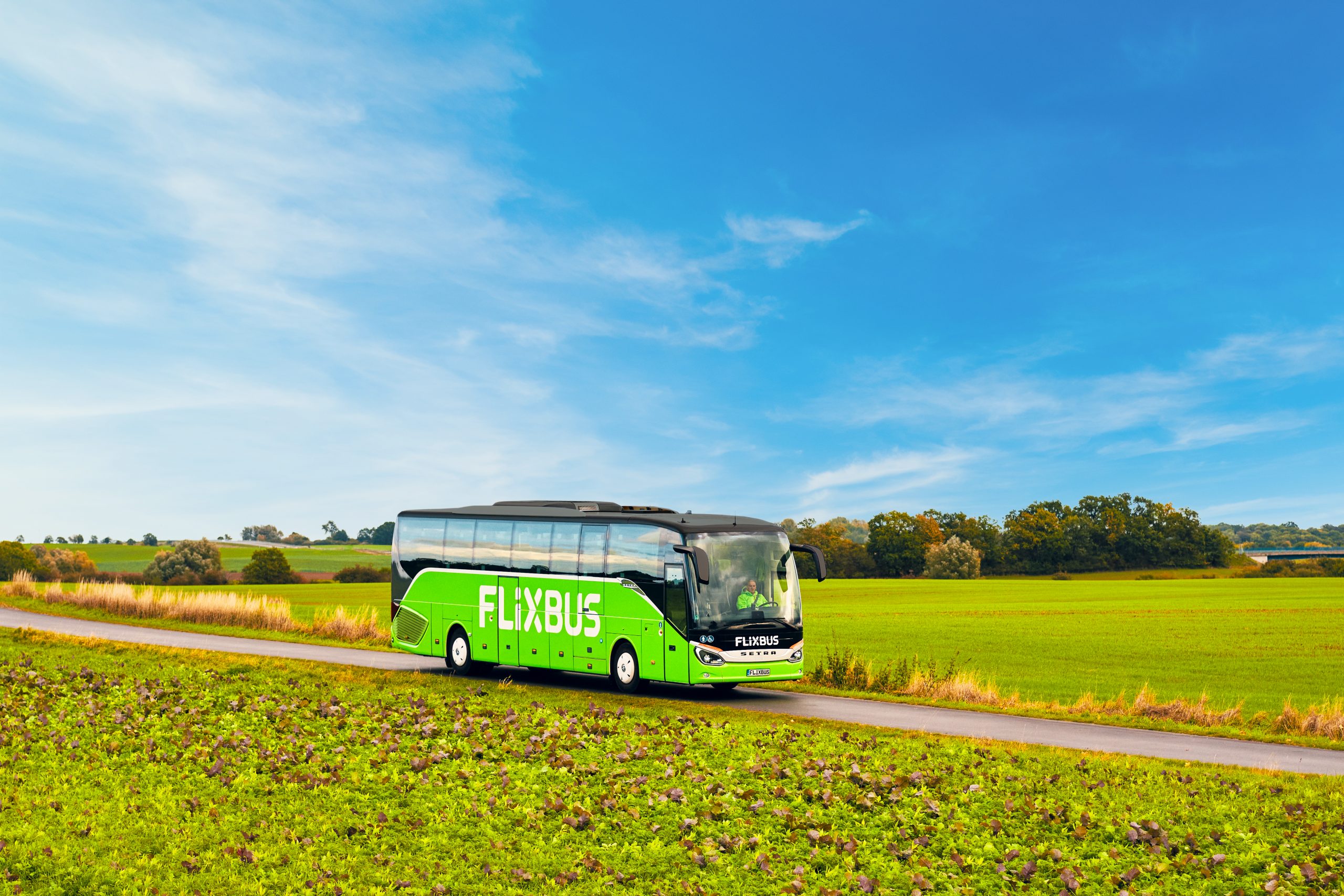 FlixBus_Max_Threlfall_4