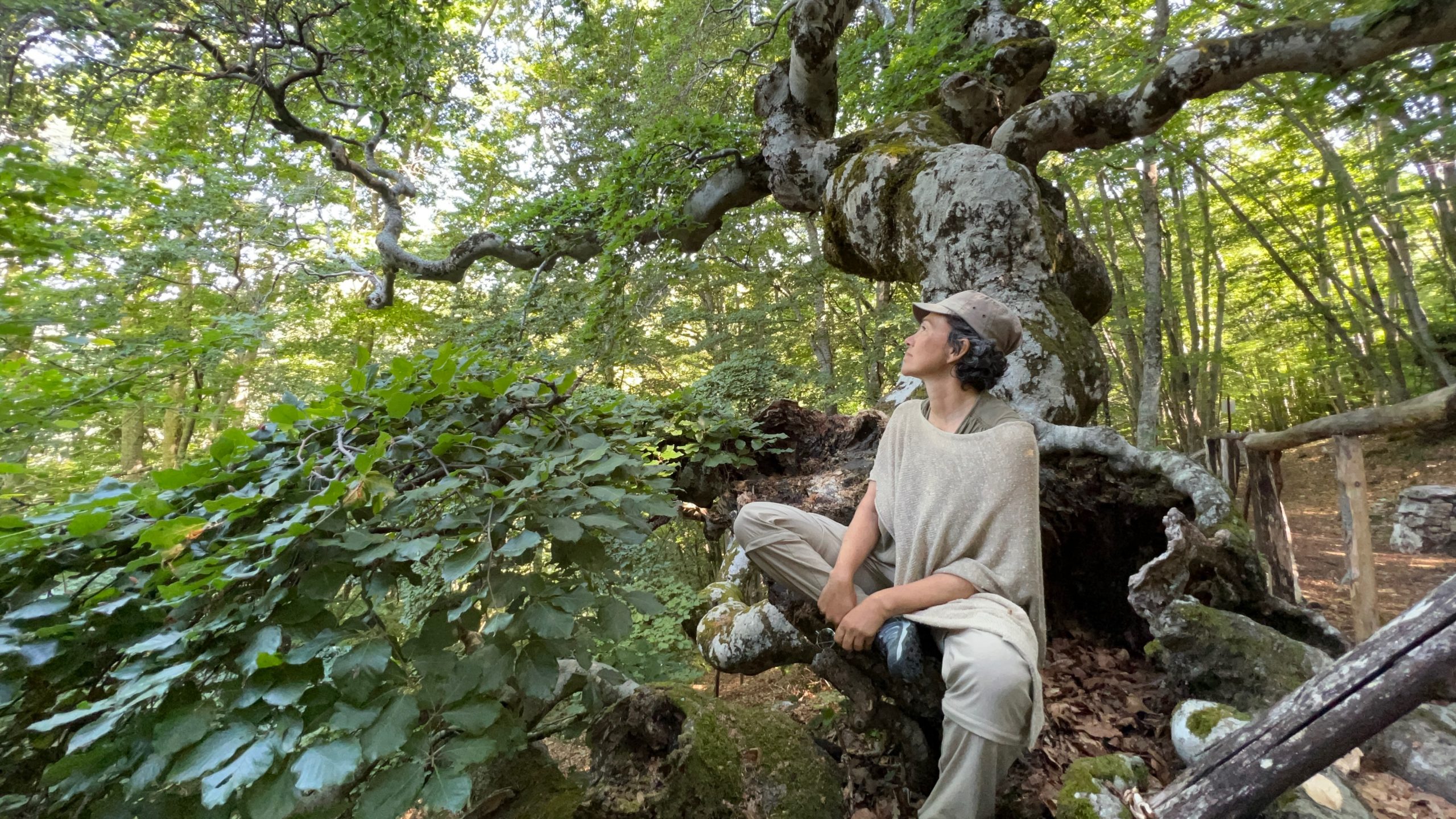 Donna con cappello seduta su albero nel bosco