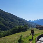 marcher sous la chaleur 