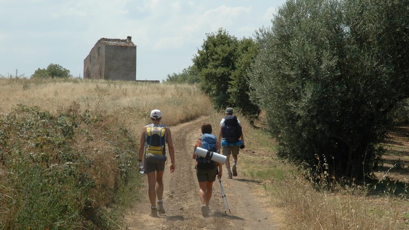 Viterbo