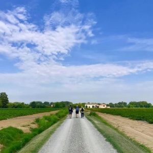 foto passo dopo passo