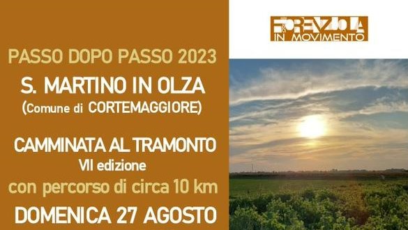 locandina Passo dopo Passo