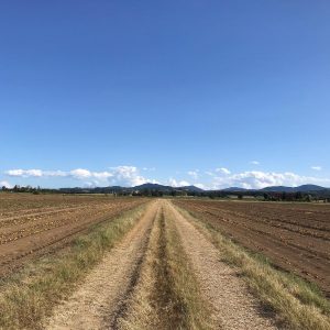 moronasco