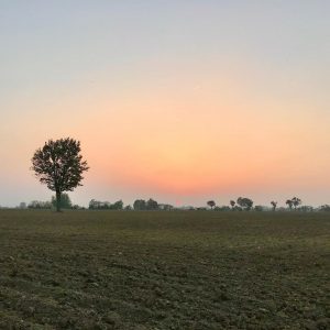 foto campagna Saliceto di Cadeo