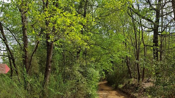 foto CammiRata da Galleno alla Riserva delle Cerbaie