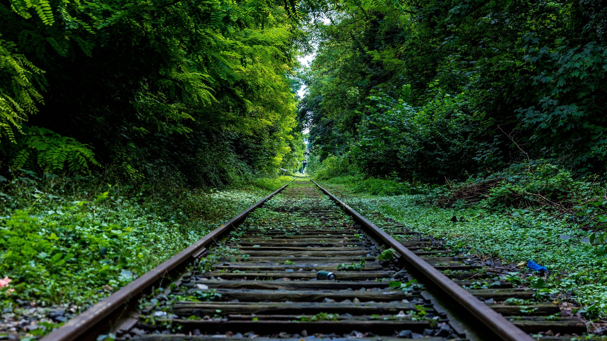 Via Francigena in treno