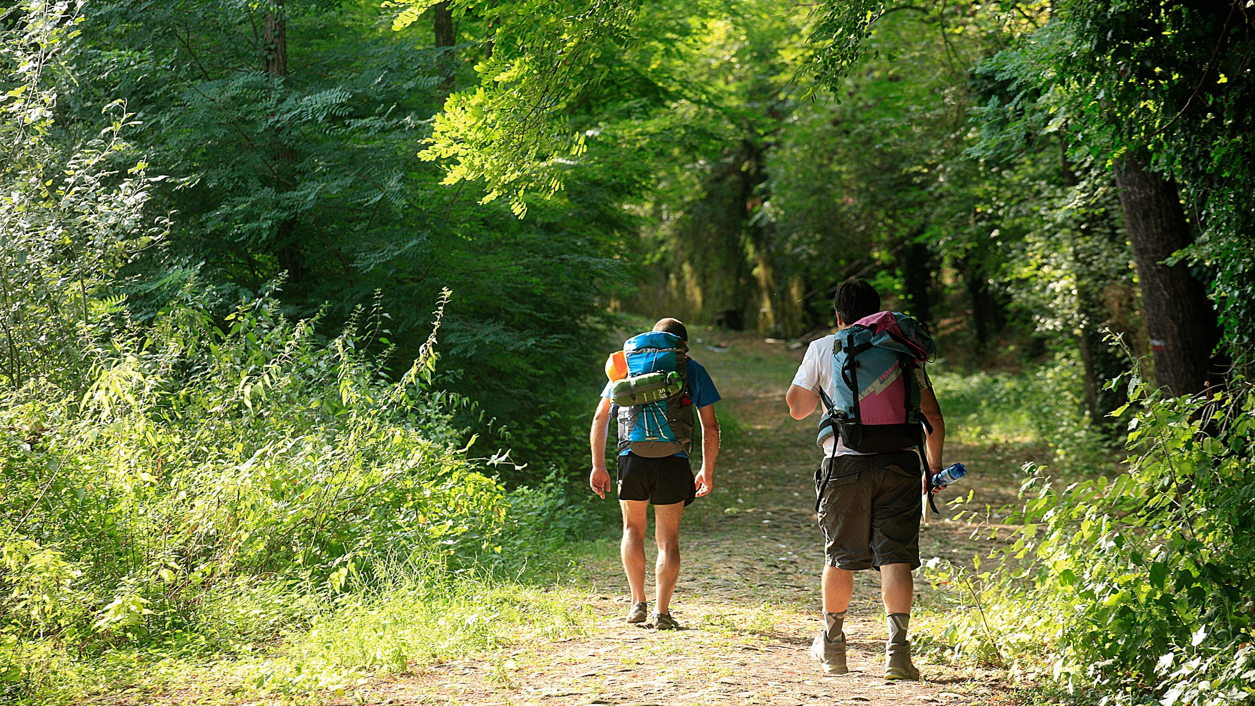 L’augurio di Spiritualitas in Francigenam per i pellegrini della Via Francigena