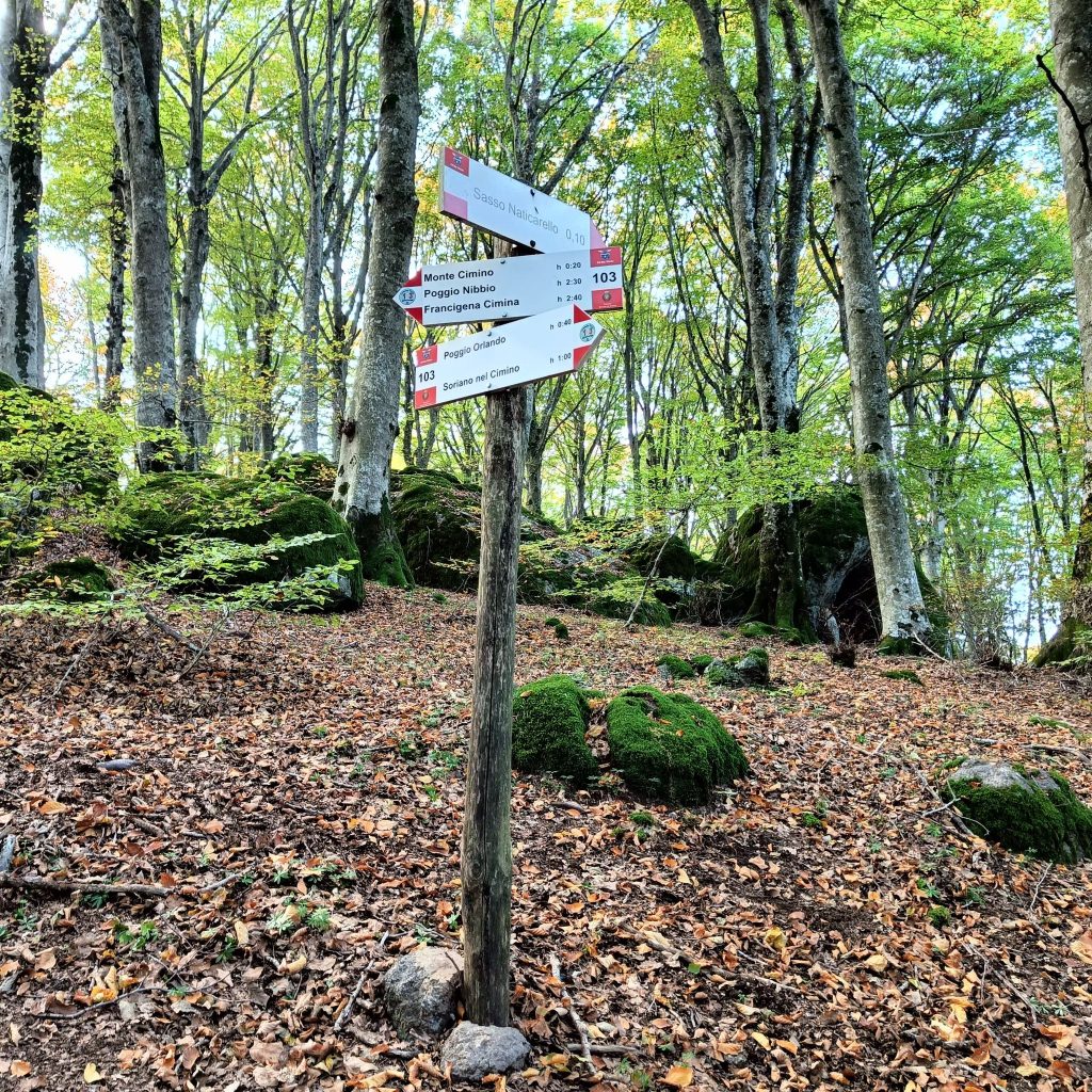 Strade Maestre_escursione
