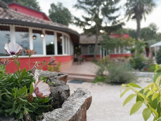 aia di lazzaro