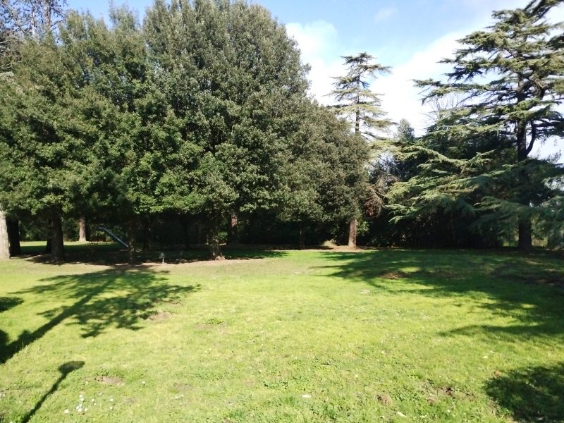 La Casa nel Parco